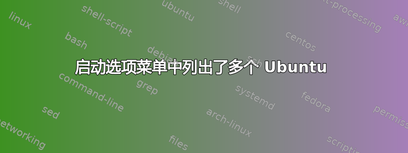 启动选项菜单中列出了多个 Ubuntu