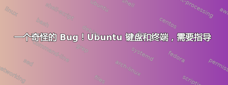 一个奇怪的 Bug！Ubuntu 键盘和终端，需要指导