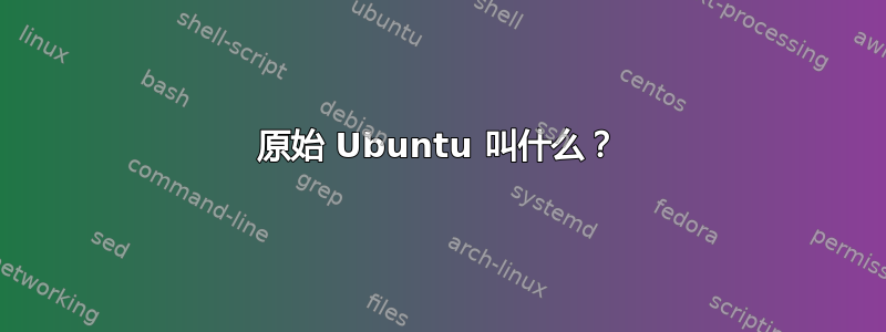 原始 Ubuntu 叫什么？