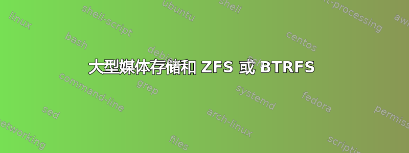 大型媒体存储和 ZFS 或 BTRFS