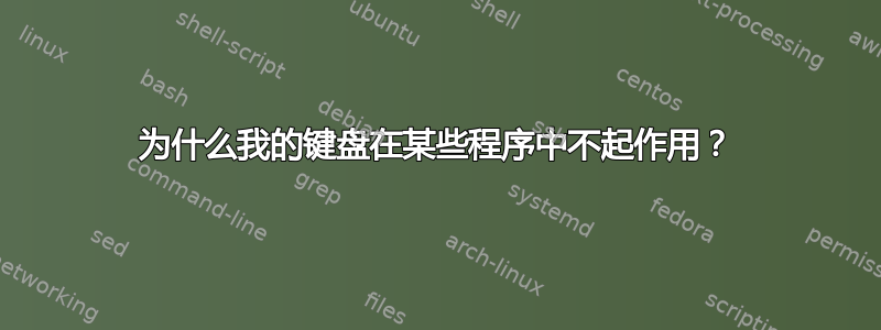 为什么我的键盘在某些程序中不起作用？