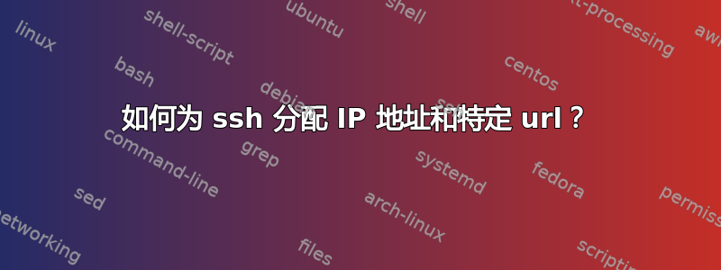 如何为 ssh 分配 IP 地址和特定 url？