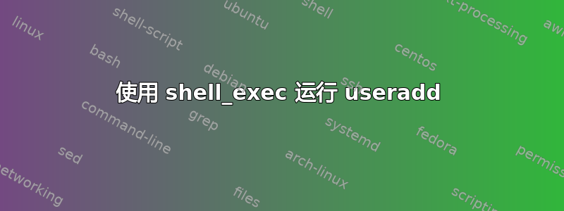 使用 shell_exec 运行 useradd