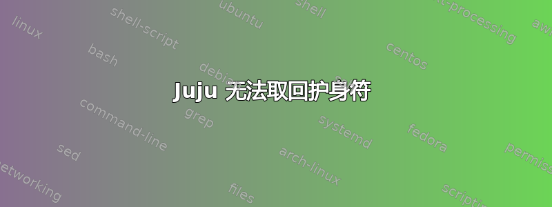 Juju 无法取回护身符