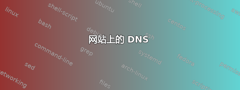 网站上的 DNS