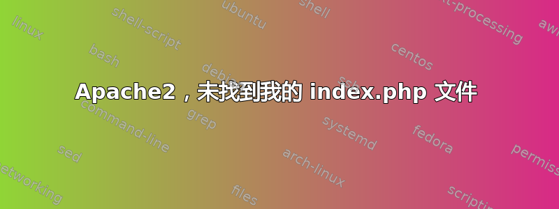 Apache2，未找到我的 index.php 文件