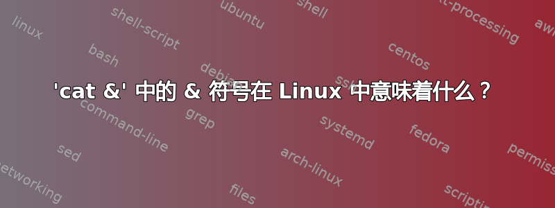 'cat &' 中的 & 符号在 Linux 中意味着什么？