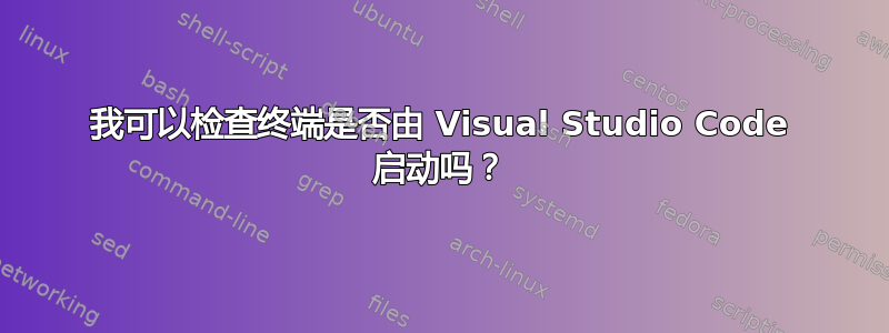 我可以检查终端是否由 Visual Studio Code 启动吗？