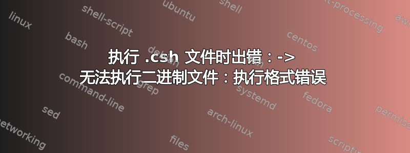 执行 .csh 文件时出错：-> 无法执行二进制文件：执行格式错误