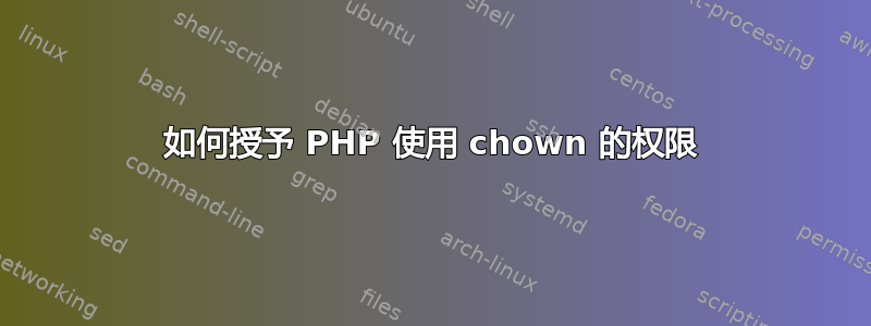 如何授予 PHP 使用 chown 的权限