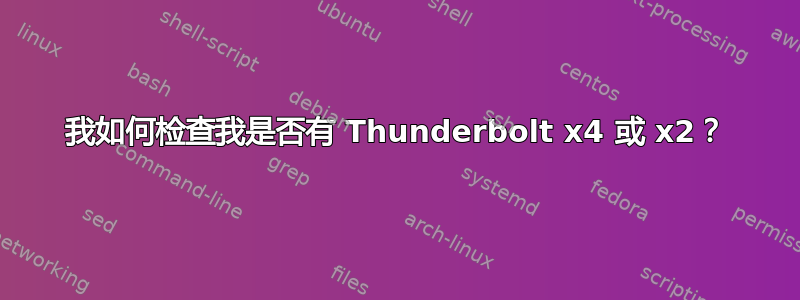 我如何检查我是否有 Thunderbolt x4 或 x2？