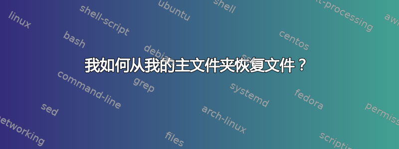 我如何从我的主文件夹恢复文件？