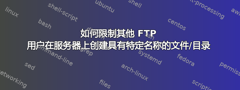 如何限制其他 FTP 用户在服务器上创建具有特定名称的文件/目录