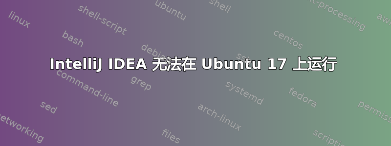 IntelliJ IDEA 无法在 Ubuntu 17 上运行