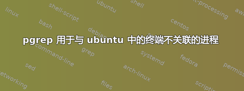 pgrep 用于与 ubuntu 中的终端不关联的进程