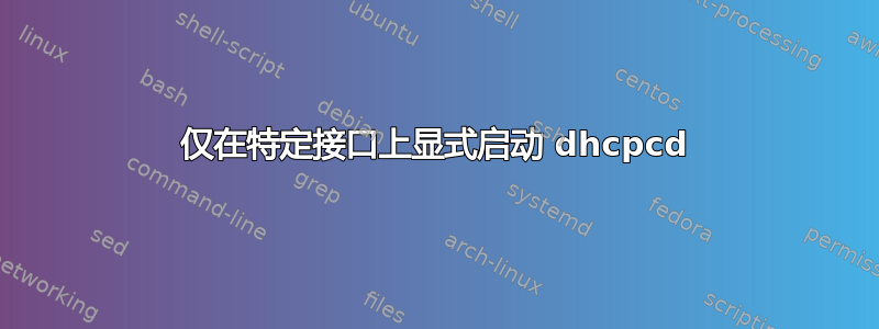 仅在特定接口上显式启动 dhcpcd