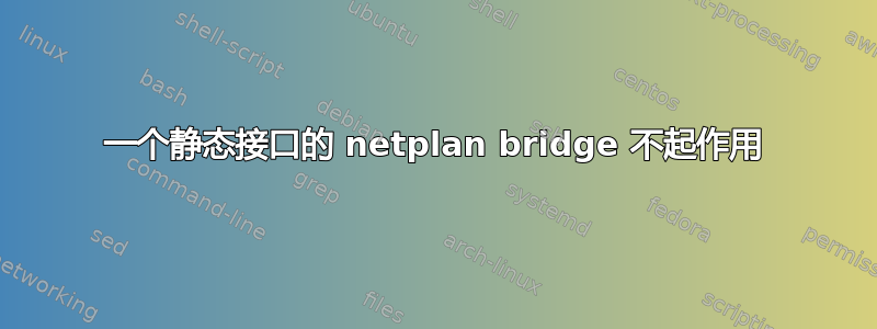 一个静态接口的 netplan bridge 不起作用