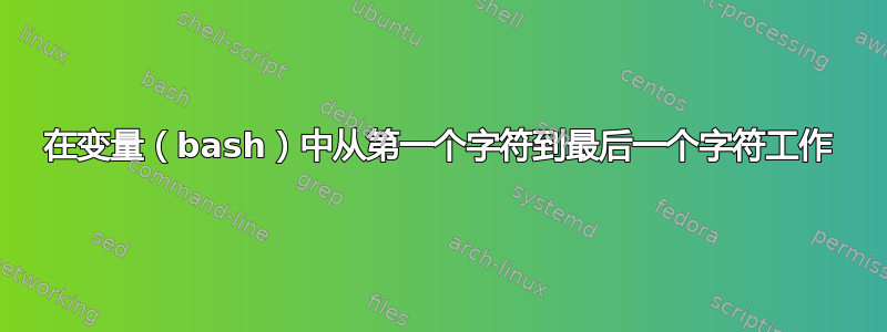 在变量（bash）中从第一个字符到最后一个字符工作