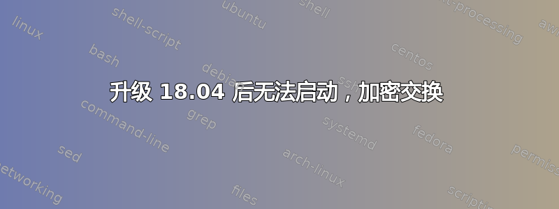 升级 18.04 后无法启动，加密交换