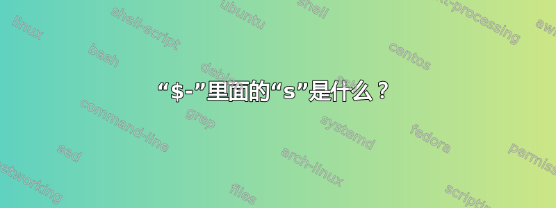 “$-”里面的“s”是什么？