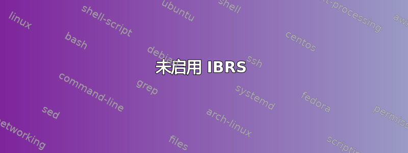 未启用 IBRS