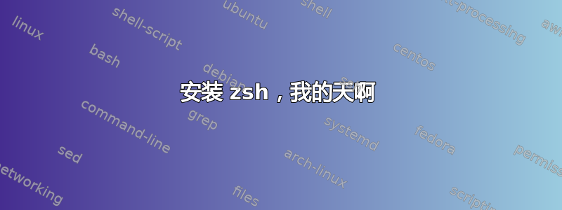 安装 zsh，我的天啊