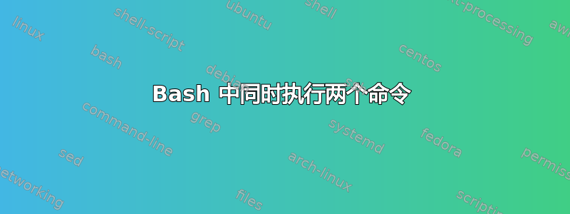 Bash 中同时执行两个命令