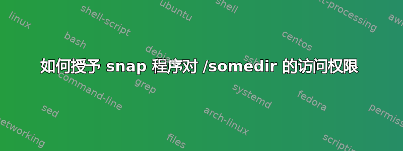 如何授予 snap 程序对 /somedir 的访问权限