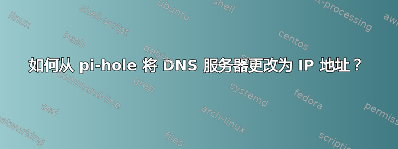 如何从 pi-hole 将 DNS 服务器更改为 IP 地址？