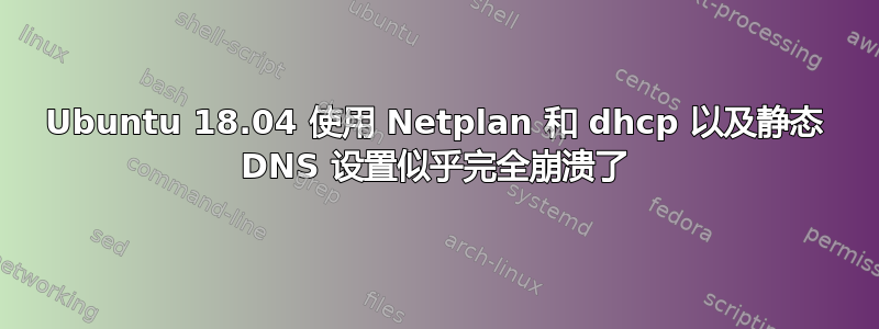 Ubuntu 18.04 使用 Netplan 和 dhcp 以及静态 DNS 设置似乎完全崩溃了