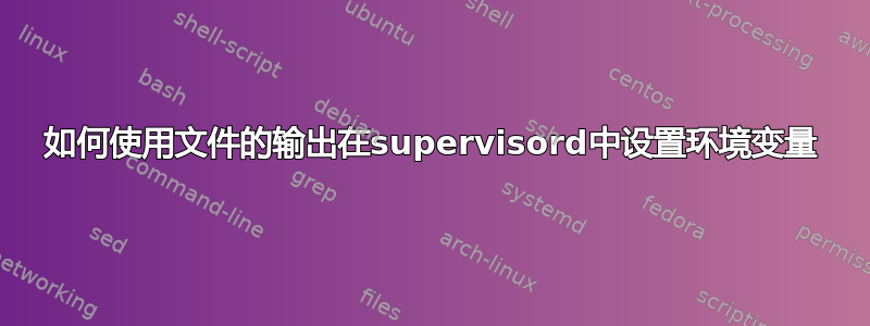 如何使用文件的输出在supervisord中设置环境变量