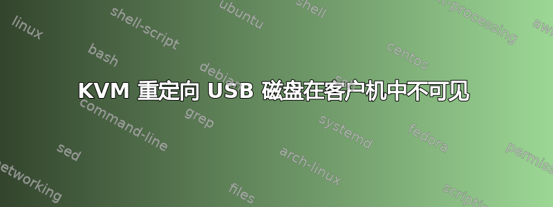 KVM 重定向 USB 磁盘在客户机中不可见