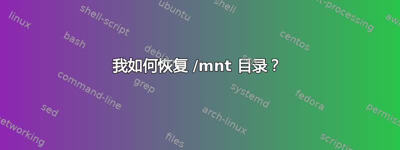 我如何恢复 /mnt 目录？