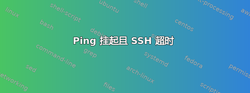 Ping 挂起且 SSH 超时