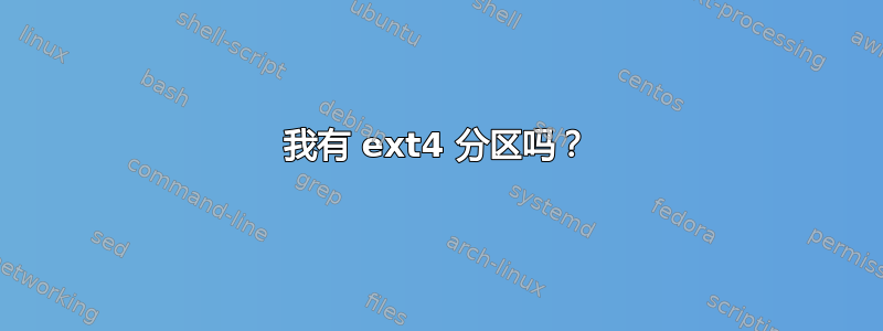 我有 ext4 分区吗？