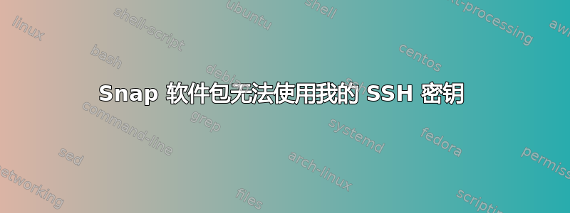 Snap 软件包无法使用我的 SSH 密钥