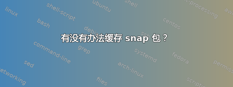 有没有办法缓存 snap 包？