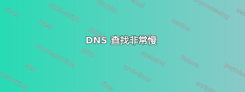 DNS 查找非常慢