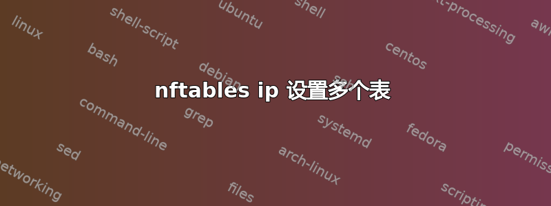 nftables ip 设置多个表