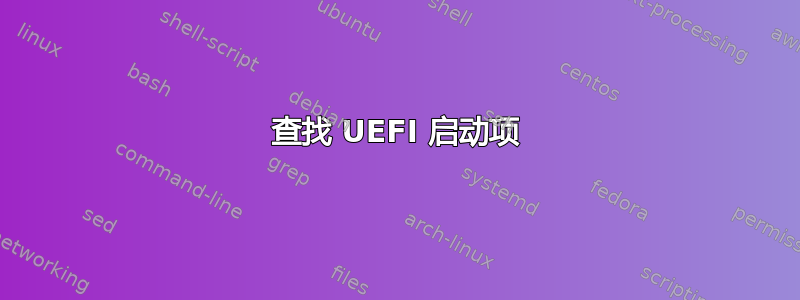 查找 UEFI 启动项