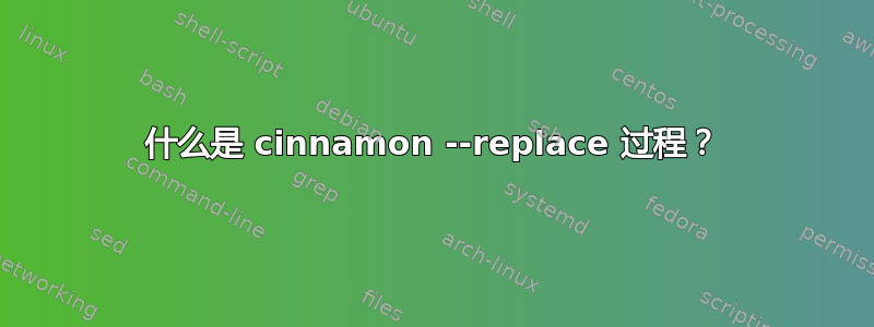 什么是 cinnamon --replace 过程？