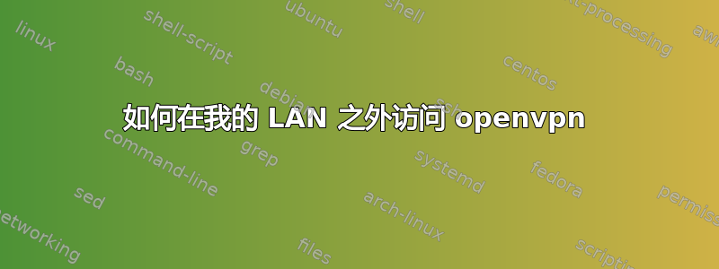 如何在我的 LAN 之外访问 openvpn