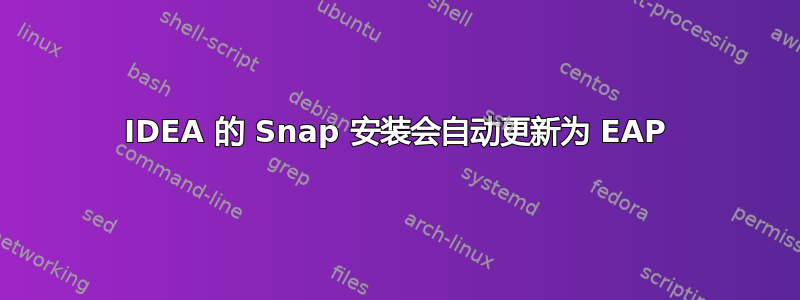 IDEA 的 Snap 安装会自动更新为 EAP