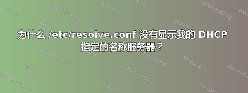 为什么 /etc/resolve.conf 没有显示我的 DHCP 指定的名称服务器？