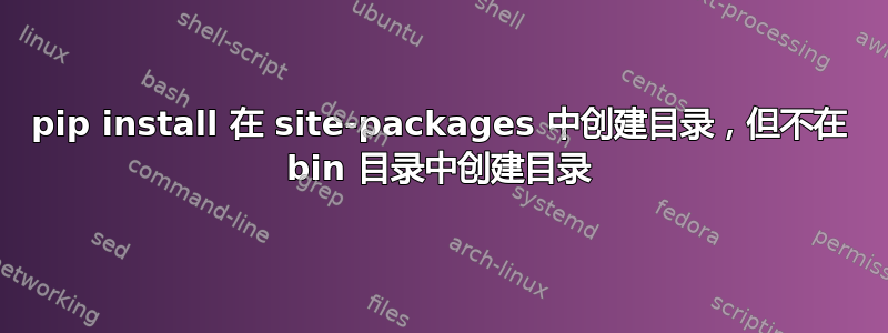 pip install 在 site-packages 中创建目录，但不在 bin 目录中创建目录