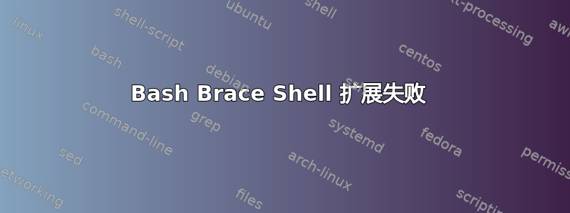 Bash Brace Shell 扩展失败 