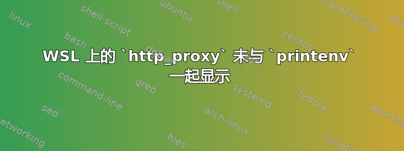 WSL 上的 `http_proxy` 未与 `printenv` 一起显示