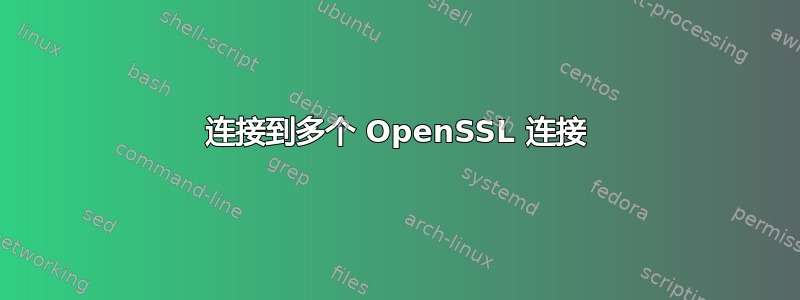 连接到多个 OpenSSL 连接