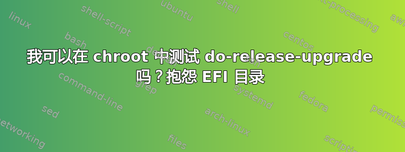 我可以在 chroot 中测试 do-release-upgrade 吗？抱怨 EFI 目录