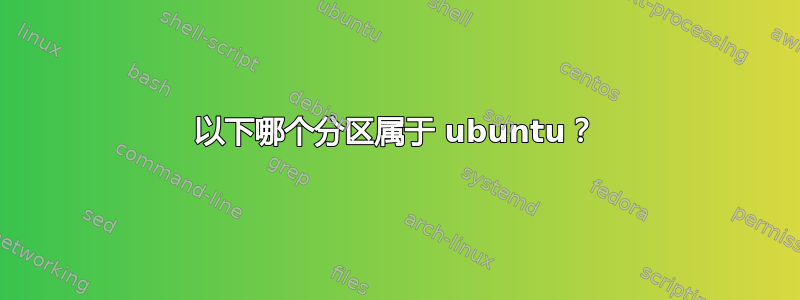 以下哪个分区属于 ubuntu？